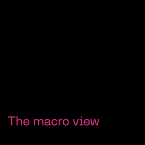 2025 predictions macro view
